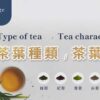 Types of Teas: 6 Tea Varieties Introduction and Analysis - ABoxTik 一盒精品 80