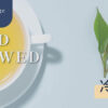 How long to Cold Brew Tea? Ratio & Timing? - ABoxTik 一盒精品 73