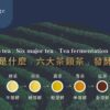 6 Types of Tea and Tea Fermentation Process - ABoxTik 一盒精品 83