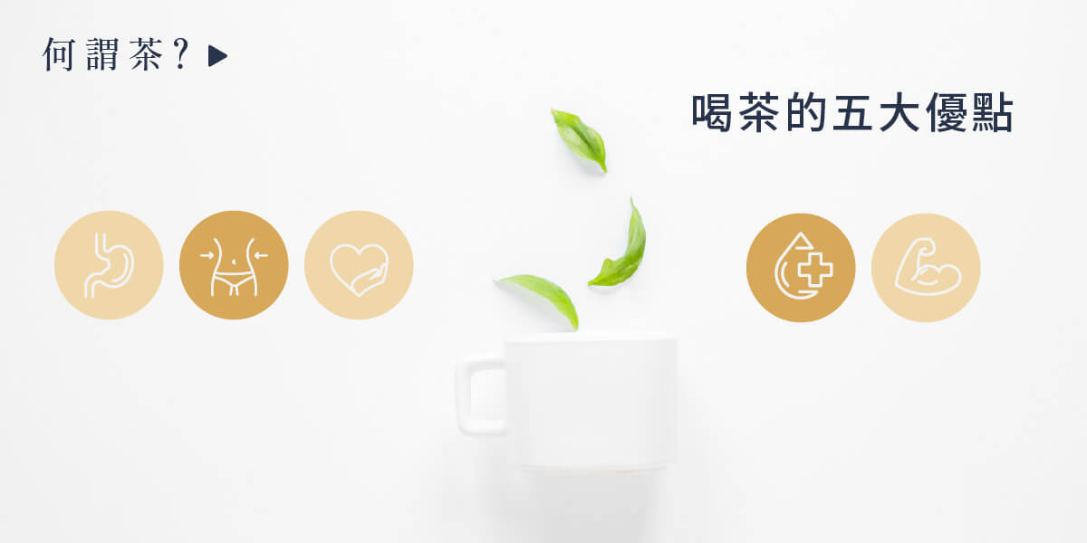 ABoxTik 一盒精品