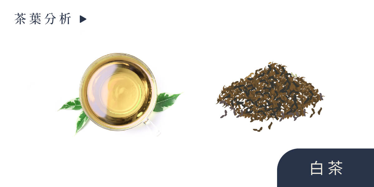 一盒精品ABoxTix_BANNER_愛喝茶的你,六大茶的特色知道？_白茶