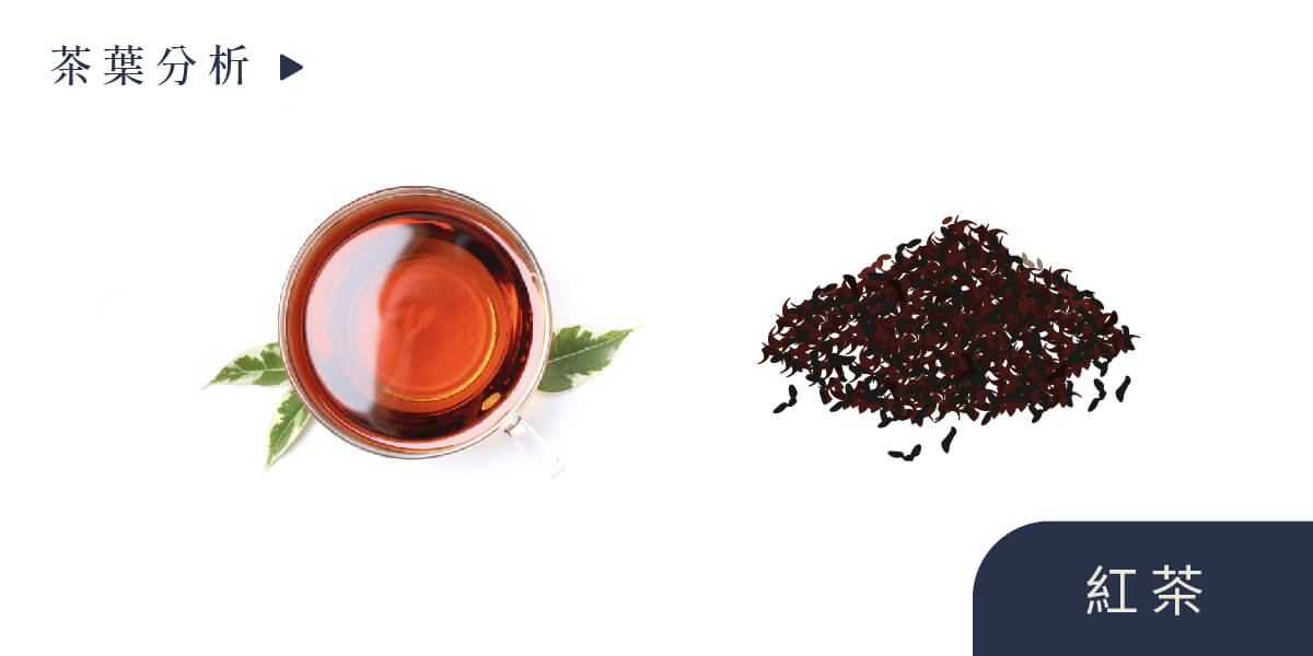一盒精品ABoxTix_BANNER_愛喝茶的你,六大茶的特色知道？_紅茶