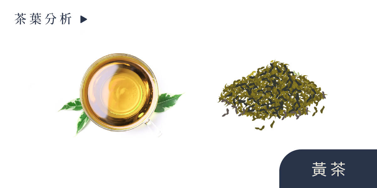 一盒精品ABoxTix_BANNER_愛喝茶的你,六大茶的特色知道？_白茶
