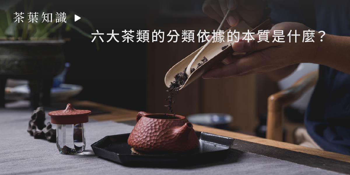一盒精品ABoxTix_BANNER_茶葉是什麼？_六大茶類的分類依據的本質是什麼？