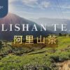 Alishan Tea - 3 Features & Intros - ABoxTik 一盒精品 238
