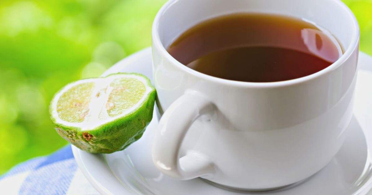 Top 7 Best Seller Whittard Tea Recommendation & Info! - ABoxTik 一盒精品 13