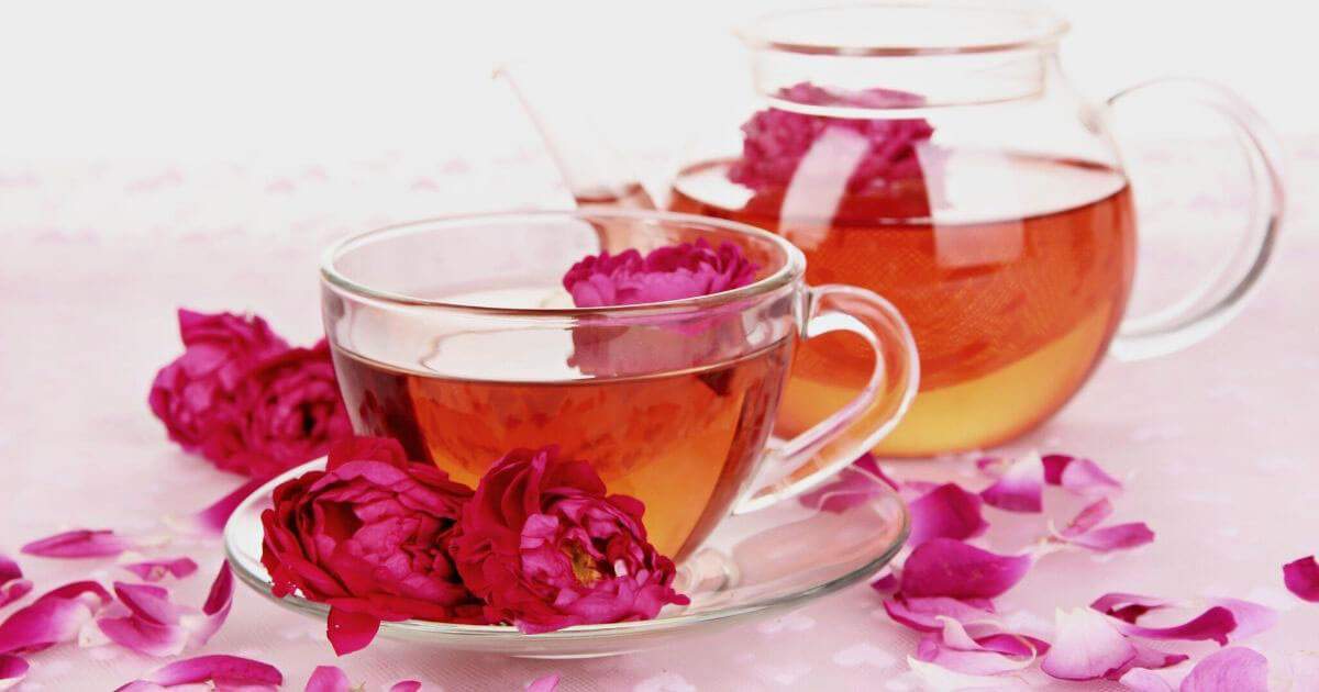 Top 7 Best Seller Whittard Tea Recommendation & Info! - ABoxTik 一盒精品 9
