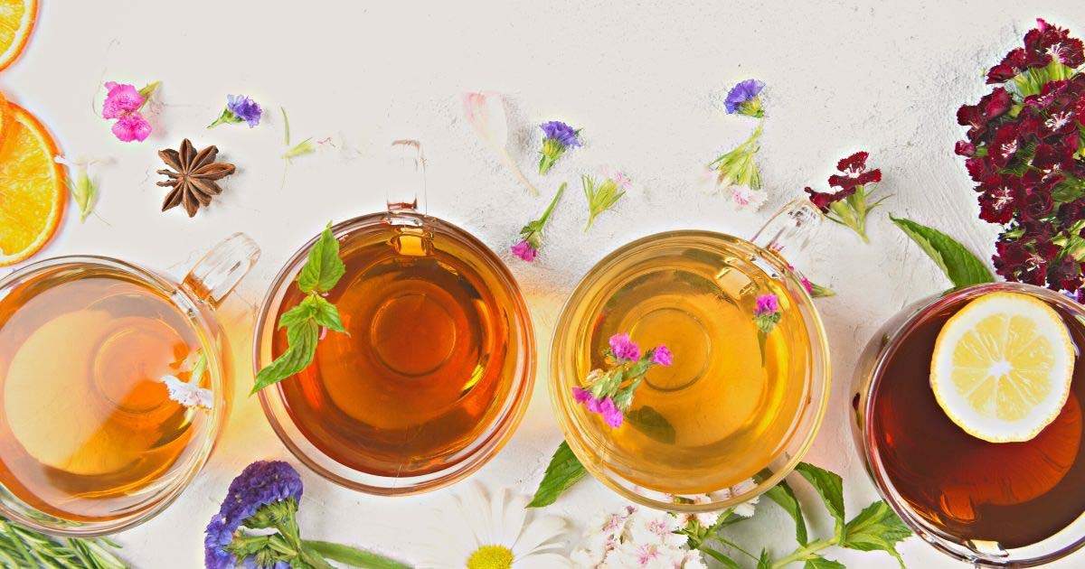 Top 7 Best Seller Whittard Tea Recommendation & Info! - ABoxTik 一盒精品 3