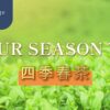 Is Sijichun Green Tea? 6 Features of Four Seasons Tea - ABoxTik 一盒精品 216