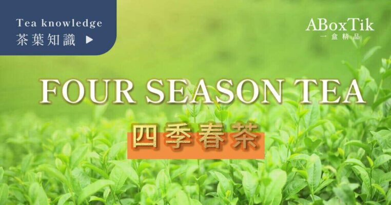 Is Sijichun Green Tea? 6 Features of Four Seasons Tea - ABoxTik 一盒精品 7