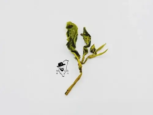 mrgift3