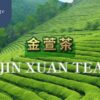 金萱茶 咖啡因 奶香