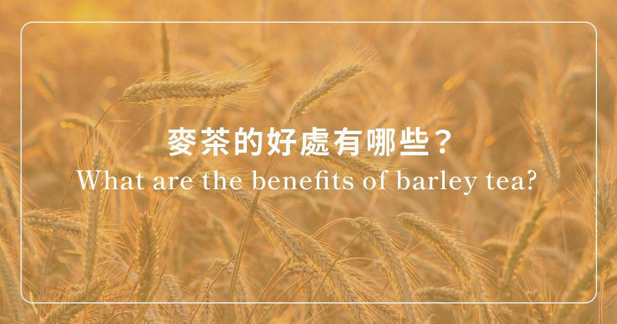 麥茶功效好處