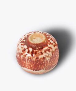 Shino Chawan 志野茶碗 李寬池 一盒精品 ABoxTik
