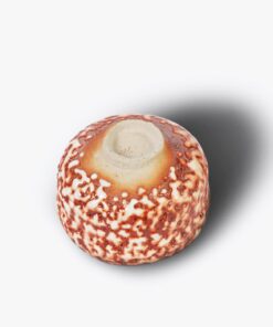 Shino Chawan 志野茶碗 李寬池 一盒精品 ABoxTik