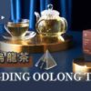 凍頂烏龍茶包 一盒精品