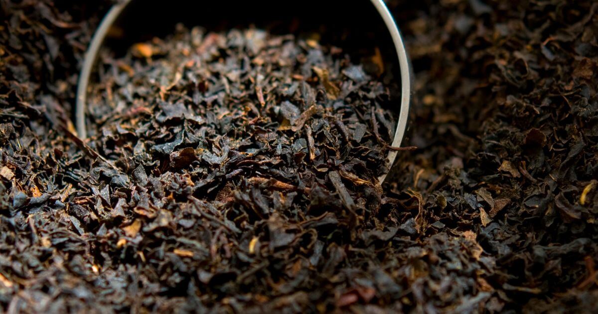 old tea 老茶 一盒精品 ABoxTik