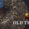 old tea 老茶 一盒精品 ABoxTik