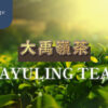 Dayuling 大禹嶺茶 一盒精品