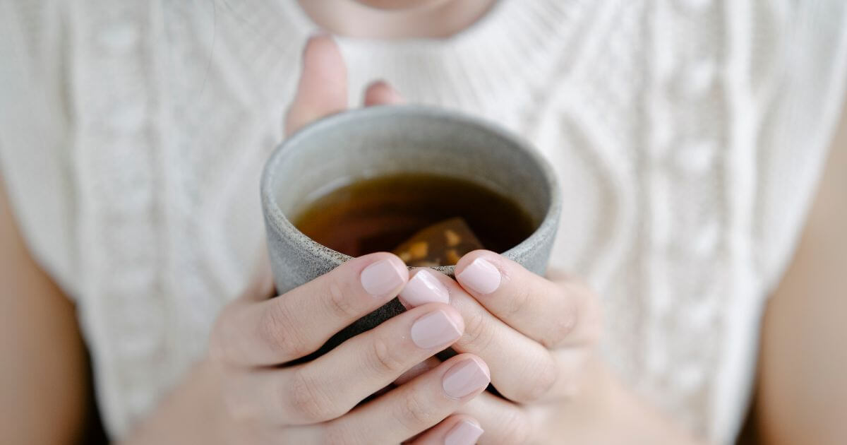 苦茶 Bitter Tea 一盒精品