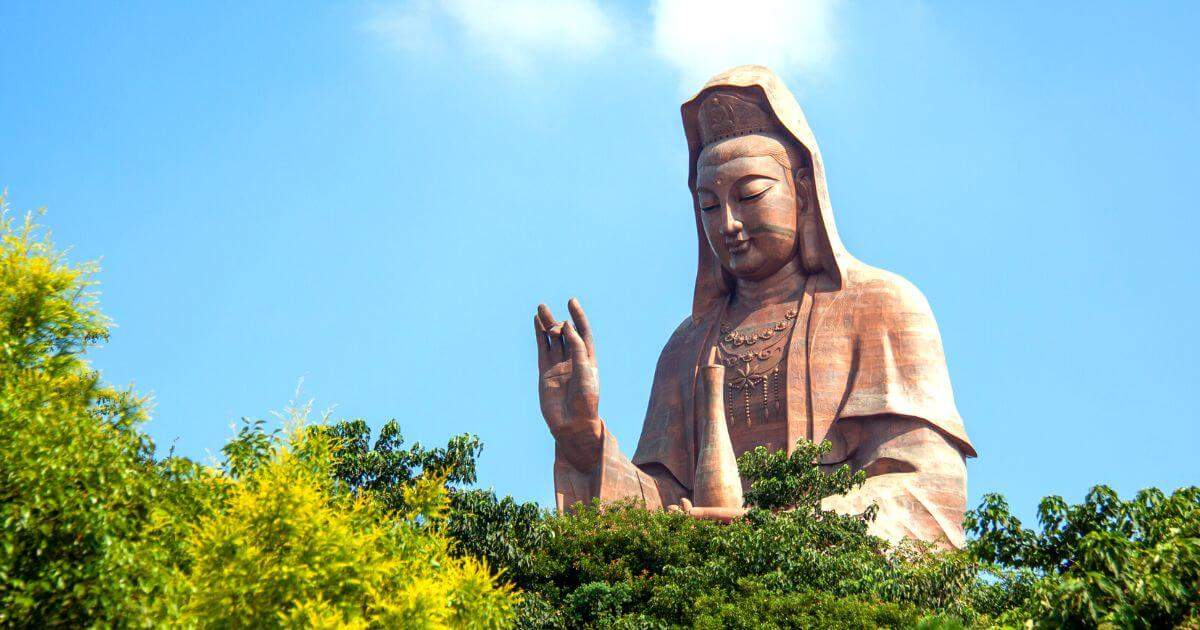 鐵觀音 TieGuanYin 一盒精品