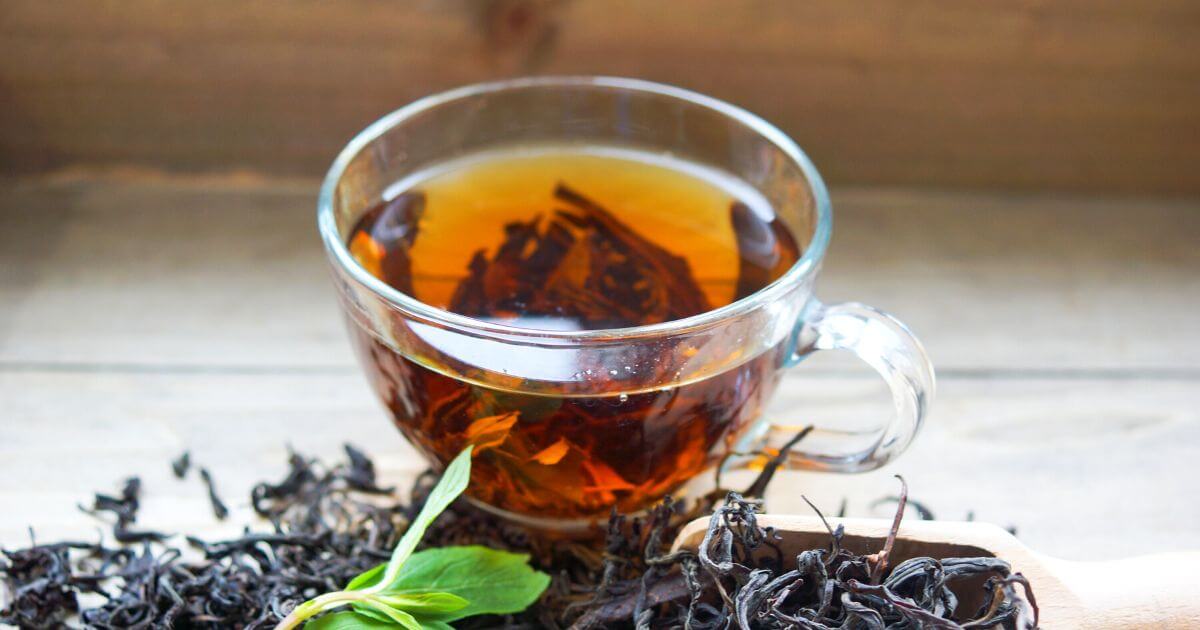 苦茶 Bitter Tea 一盒精品
