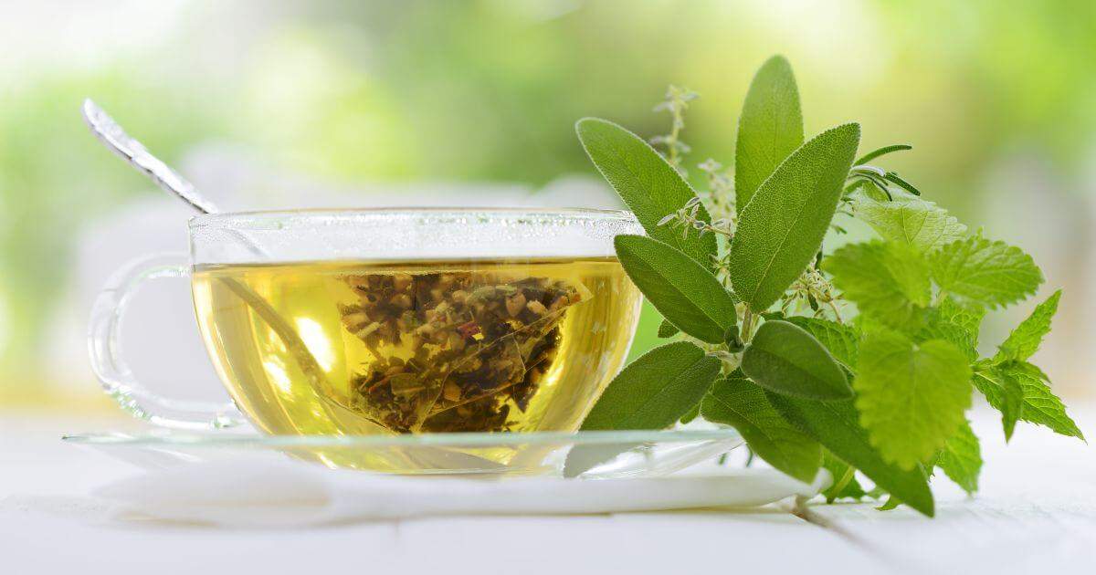 曼寧康福茶