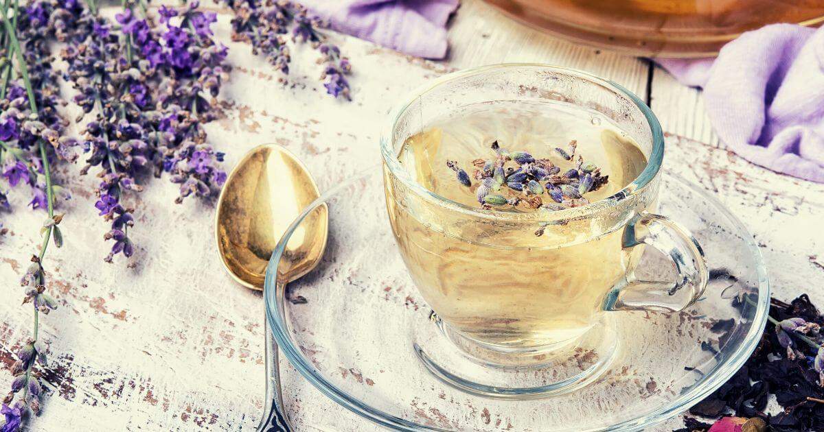 曼寧花草茶薰衣草