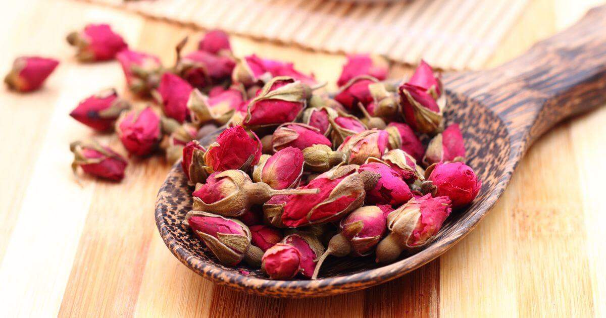 曼寧玫瑰花茶包