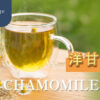 洋甘菊茶Chamomile Tea