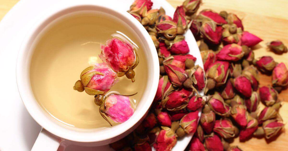 曼寧玫瑰花茶包