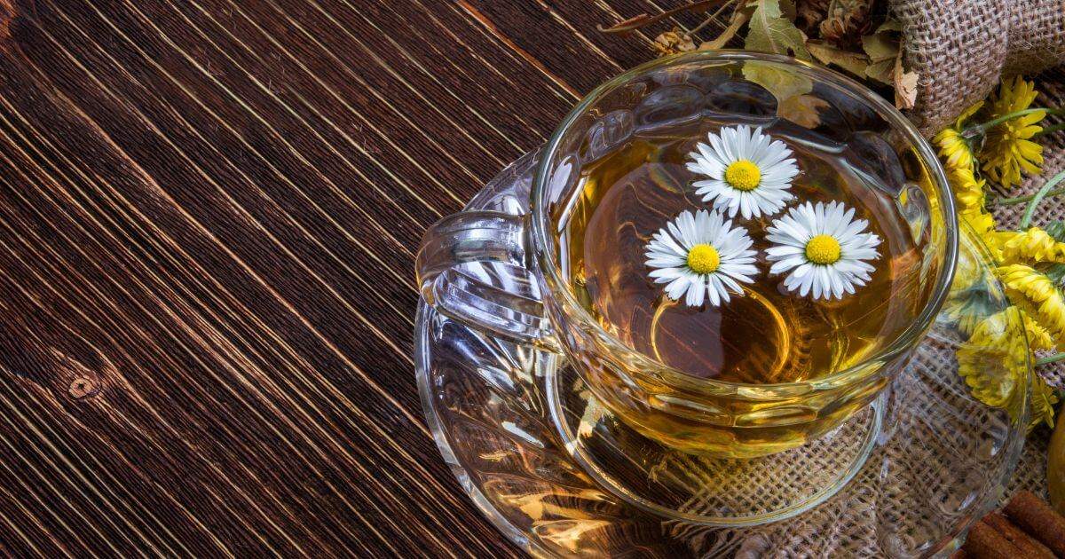 洋甘菊茶