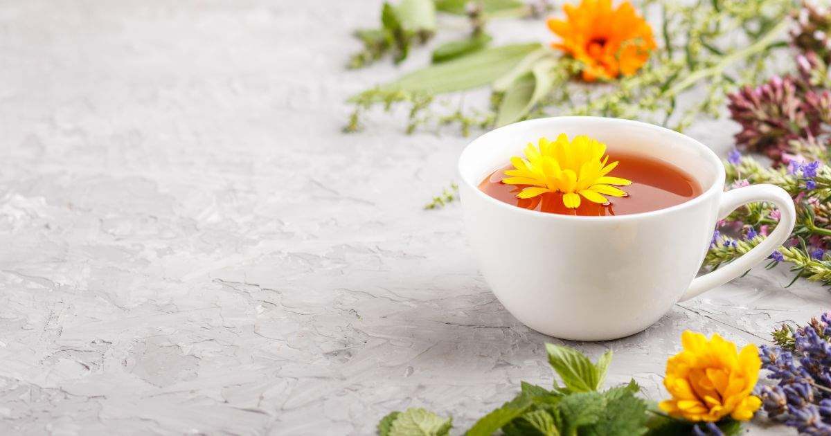 花草茶功效Herbal Tea Benefit