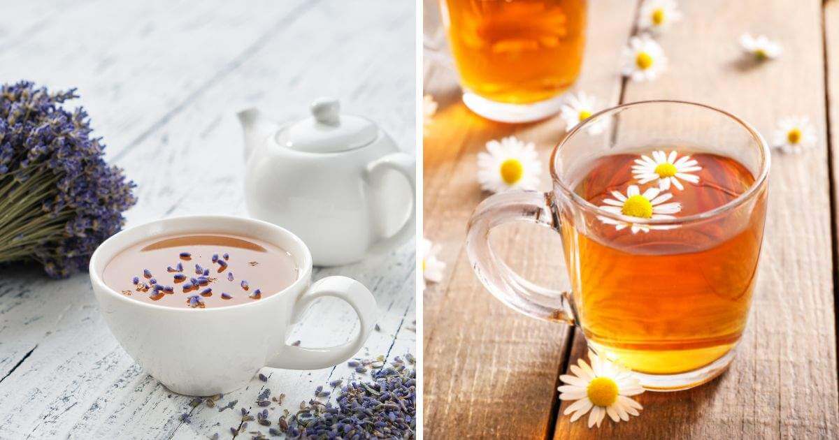 花草茶功效Herbal Tea Benefit