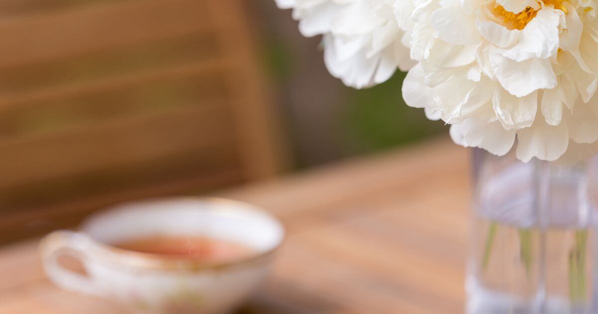 白牡丹茶White Peony Tea