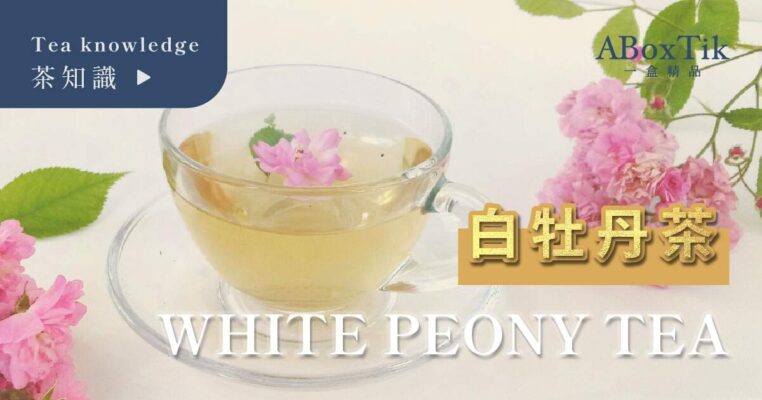 白牡丹茶