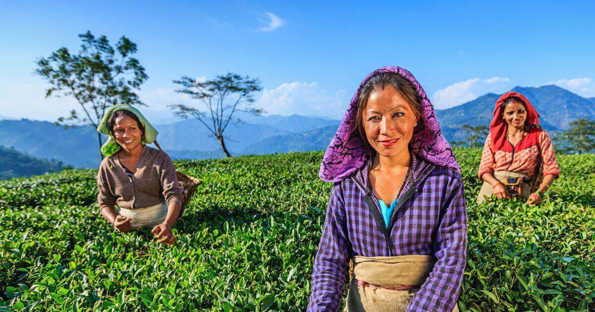印度茶文化