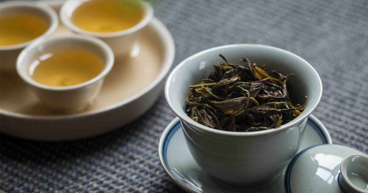 凍頂烏龍茶 凍頂鐵觀音