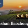 文山包種茶