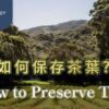 保存茶葉