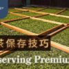 茶葉保存技巧