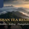 Alishan tea regions comparison of Shizhuo Xiding and Zhangshuhu
