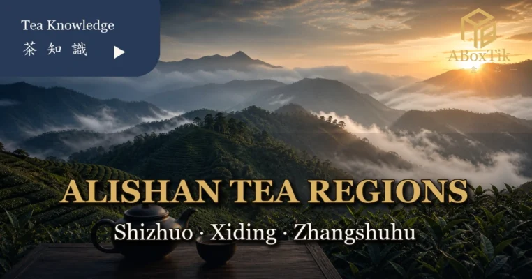 Alishan tea regions comparison of Shizhuo Xiding and Zhangshuhu