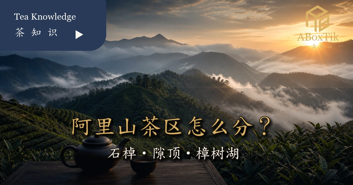 阿里山茶区比较石棹隙顶与樟树湖选茶指南