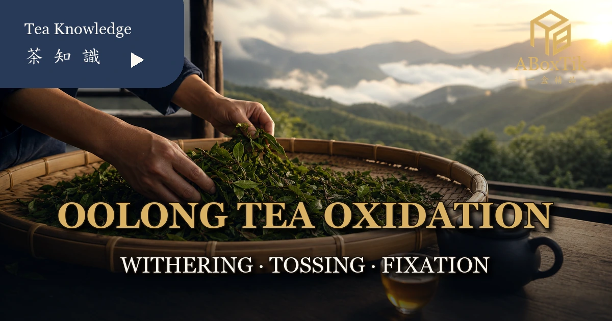 oolong tea oxidation from withering and tossing to fixation