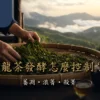 烏龍茶發酵從萎凋浪菁到殺菁