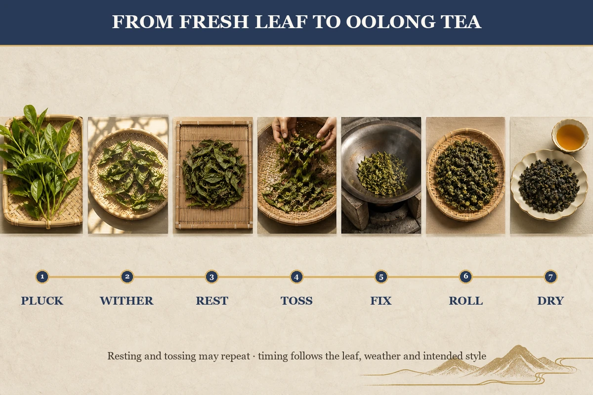 oolong tea oxidation withering tossing and fixation process