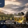 Why Taiwanese tea is special: Taiwan tea terroir and craftsmanship