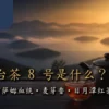 台茶8号是什么？从阿萨姆血统、麦芽香到日月潭红茶一次看懂 - ABoxTik 一盒精品 28