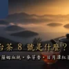台茶8號阿薩姆血統與日月潭紅茶風味指南